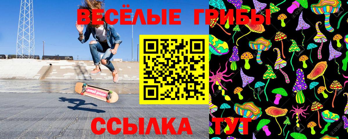 Псилоцибиновые грибы Psilocybe  Вход с VPN  Асбест 